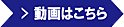 ドローン空撮 